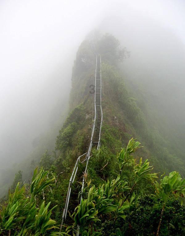 逃离废弃高校
