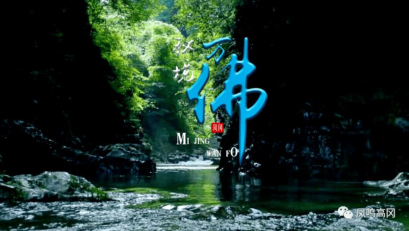 熊仔超级找茬