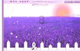找到旅店窃贼