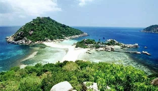 福建“小苗木”出海闯世界