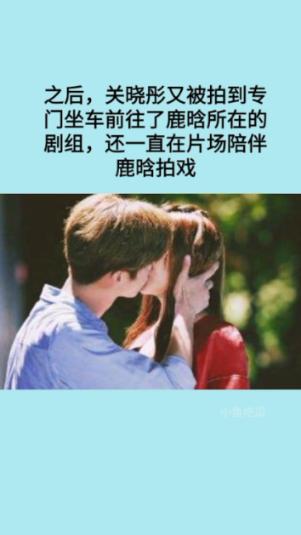 逃离金刚鹦鹉森林