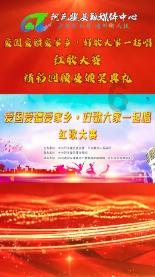 小乌龟逃亡记