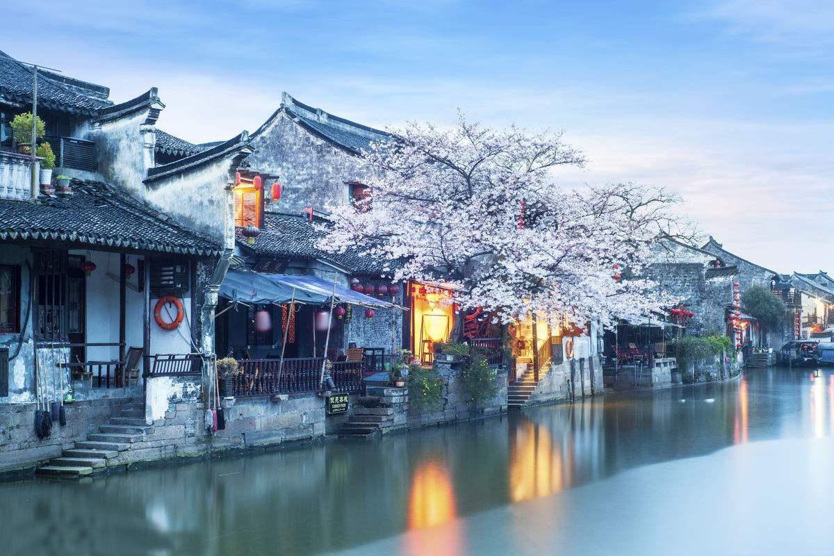 澳大利亚野兔成灾的原因游戏画面